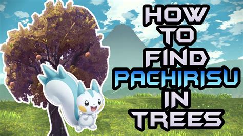 Where To Find Pachirisu In Pokémon Legends: Arceus.